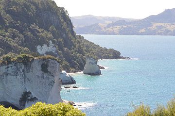 Coromandel Coastline | New Zealand by Ashley Pulcini