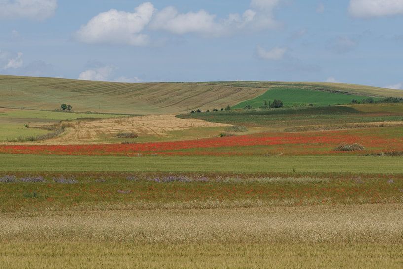 Puglia by Mario Creanza