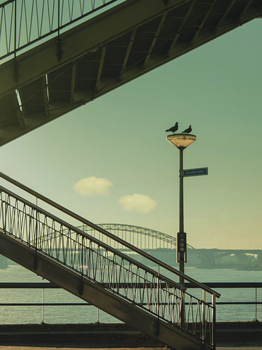 Lever du soleil sur le pont Waalbrug à Nimègue, nature morte sur Caroline Drijber Guérain