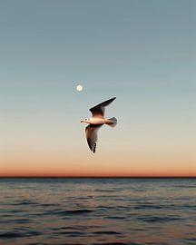 Transient moments