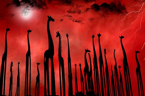 Animals - Giraffes - abstract