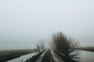 Mist in de Alblasserwaard van Lars Korzelius thumbnail