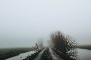 Mist in de Alblasserwaard