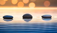 zen-tuin