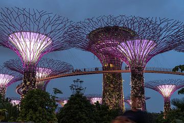 Gardens by the Bay, Singapour sur Peter Schickert