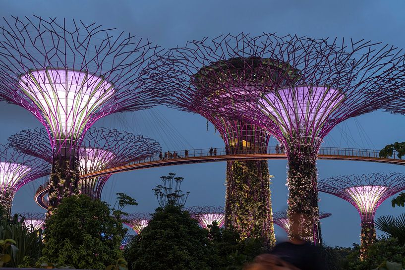 Gardens by the Bay, Singapore by Peter Schickert