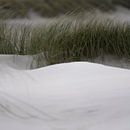 Wadden Photography - Strand #4 uit serie van 9 beelden van Wad of Wonders thumbnail