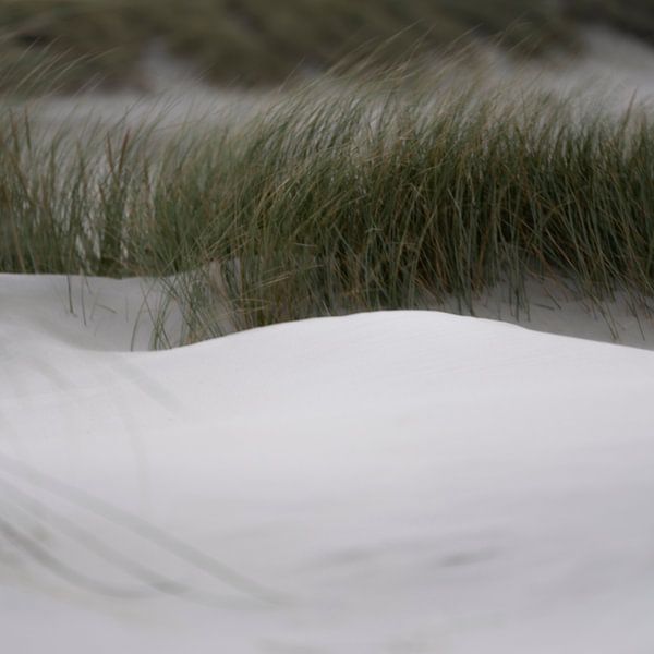 Wadden Photography - Strand #4 uit serie van 9 beelden van Wad of Wonders