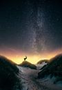 Fallow deer among the stars (Milky Way) by marco jongsma thumbnail