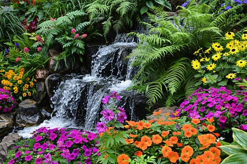 Waterval in kleurrijke bloementuin