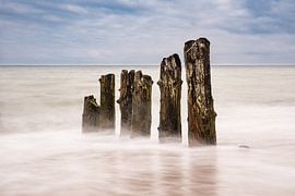 Groynes on shore of the Baltic Sea by Rico Ködder
