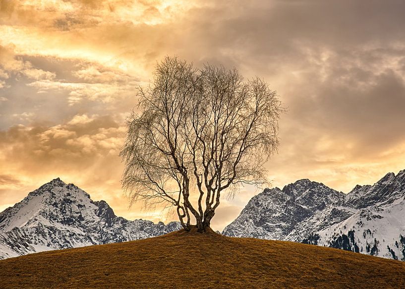 Arbre d'or par Christa Thieme-Krus