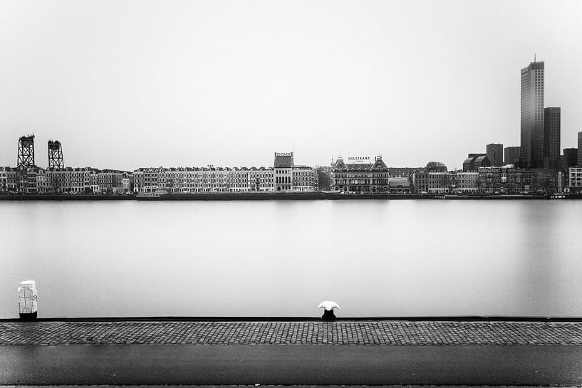 Rotterdam, ligne d'horizon de Noordereiland par 010 Raw