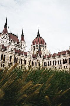 Das Budapester Parlament von Studio Nieuwland