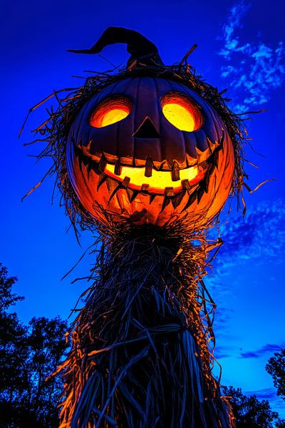 Glowing pumpkin lantern in the twilight by Poster Art Shop