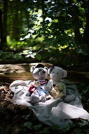 Family Bear 2 by Zus en Zo Foto