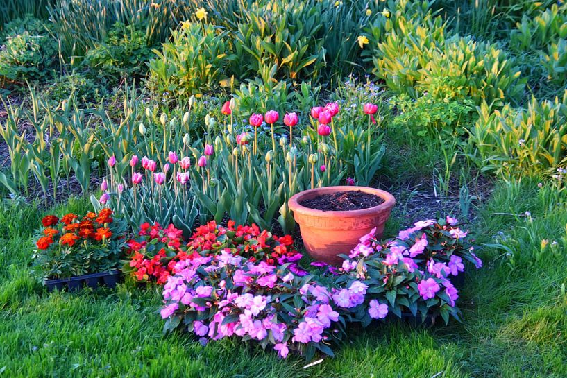 Flowers in the garden in spring by Claude Laprise