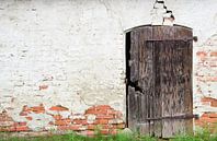 Een oude gebroken houten deur van Ulrike Leone thumbnail