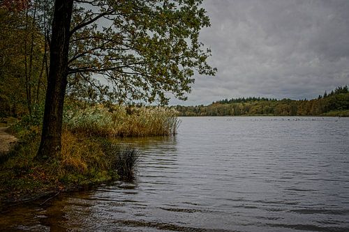 Herfstkleuren van het Zwart Water van Jos Saris