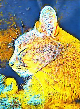Cat Fancy van Dorothy Berry-Lound