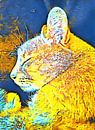 Cat Fancy by Dorothy Berry-Lound thumbnail