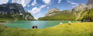 Hinterer Gosausee