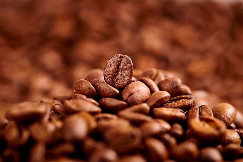 Coffee mountain by Graham Forrester