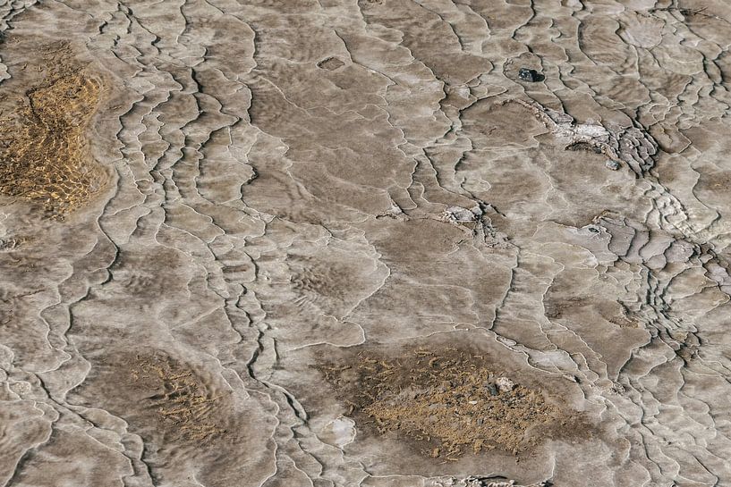 Structures en sable en Nouvelle-Zélande par Sophia Eerden