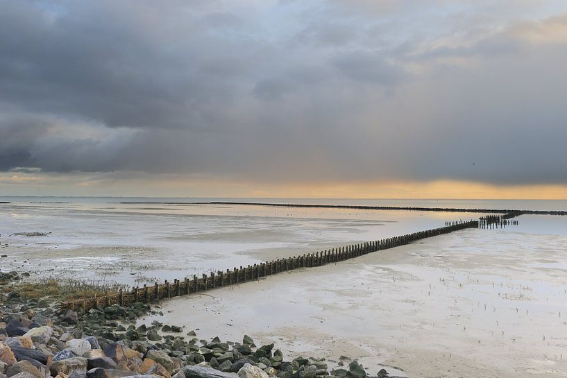 Ameland op zijn  mooist van Rinnie Wijnstra