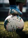 Football by Tim Heestermans thumbnail