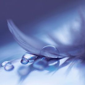 Soft colored drops ( Druppels en een veer in een blauwe tint) van Birgitte Bergman