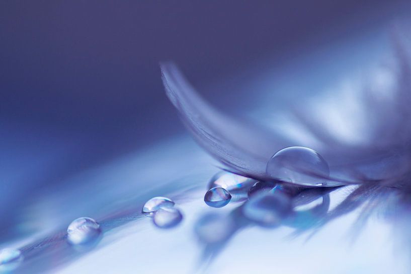 Soft coloured drops ( Drops and a feather in a blue shade) by Birgitte Bergman