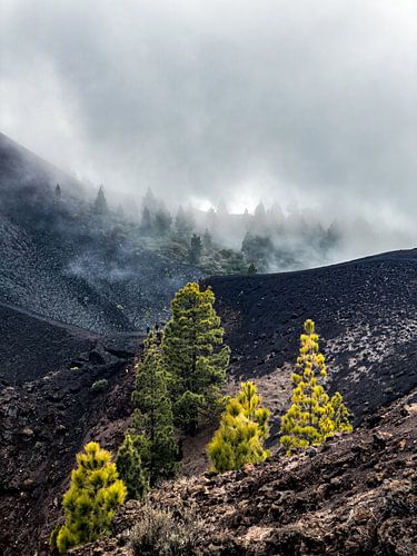 Ruta de los Volcanos