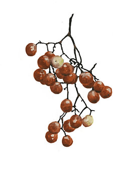 Red Peppercorns Collection I