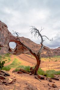 Monument Valley van Richard Reuser