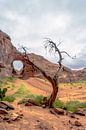 Monument Valley van Richard Reuser thumbnail