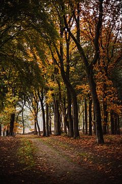 Regnerischer Herbst in Rijssen von Holly Klein Oonk