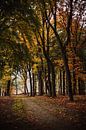 Regnerischer Herbst in Rijssen von Holly Klein Oonk Miniaturansicht