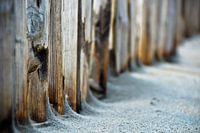 Detail van wind hek op Maasvlakte strand