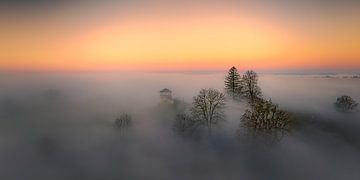 Nebelstimmung in der Morgendämmerung von Judith Kuhn