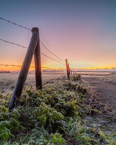 Hek en pad in Westerland tijdens een koude decemberochtend