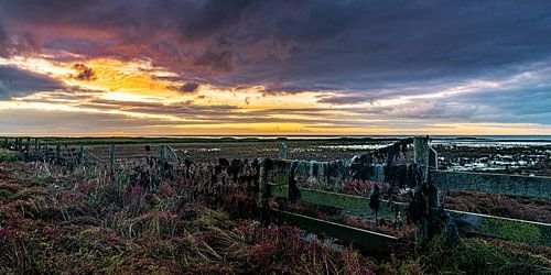 Zonsopkomst Terschelling