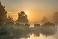 Een mooie zonsopgang in de waterrijke omgeving van Grouw