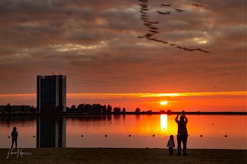 Zonsondergang Bergen Op Zoom