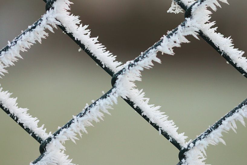 Frozen clôture par Johan  van Polen