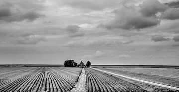 Nieuwe Bildtdijk by Harrie Muis