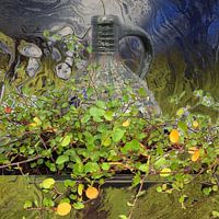 A pitcher of hanging plants on beautiful background.