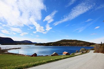 Fjorden Noorwegen van Anton Roeterdink