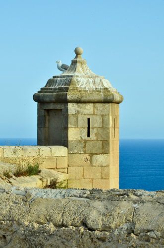 A seagull sits on a castle tower of castillo de Santa Bárbara in Alicante overlooking the Mediterran