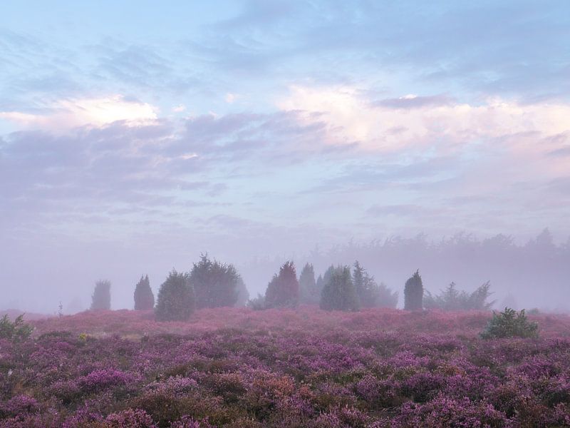 overleg van snippefotografie